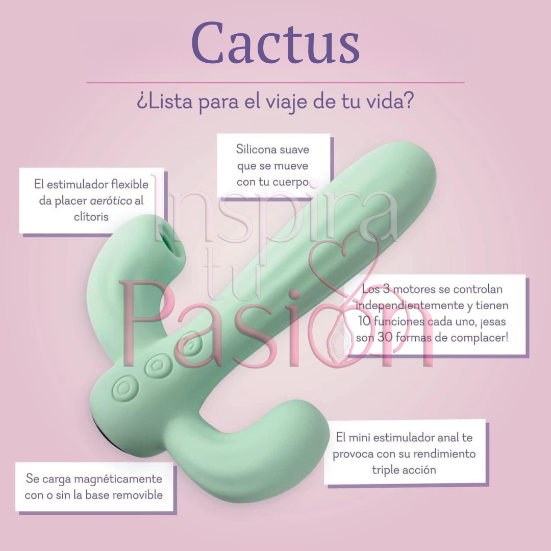 Cactus