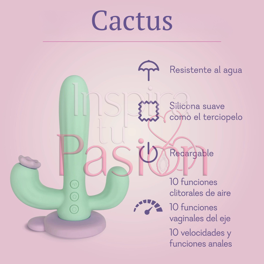 Cactus